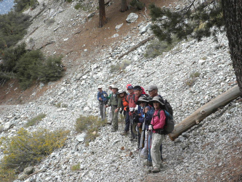 Timber101710 105.jpg